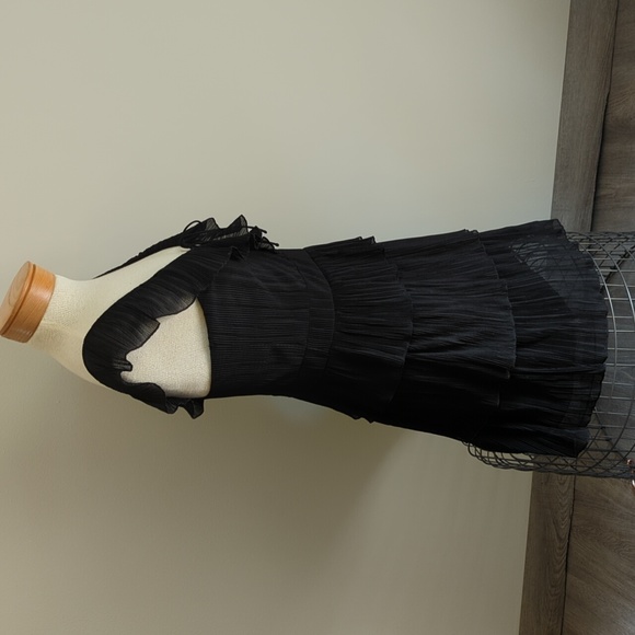 Express Ruffled Dress - Picture 5 of 12